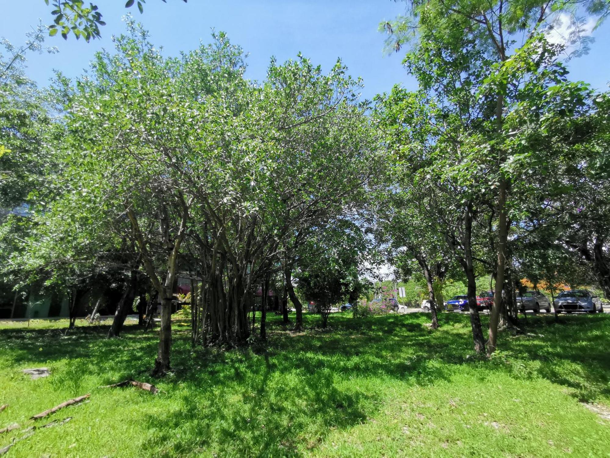 Beautiful & Cozy Near Beach Apartment Pool & Kingsize Bed Cancún Pokój zdjęcie